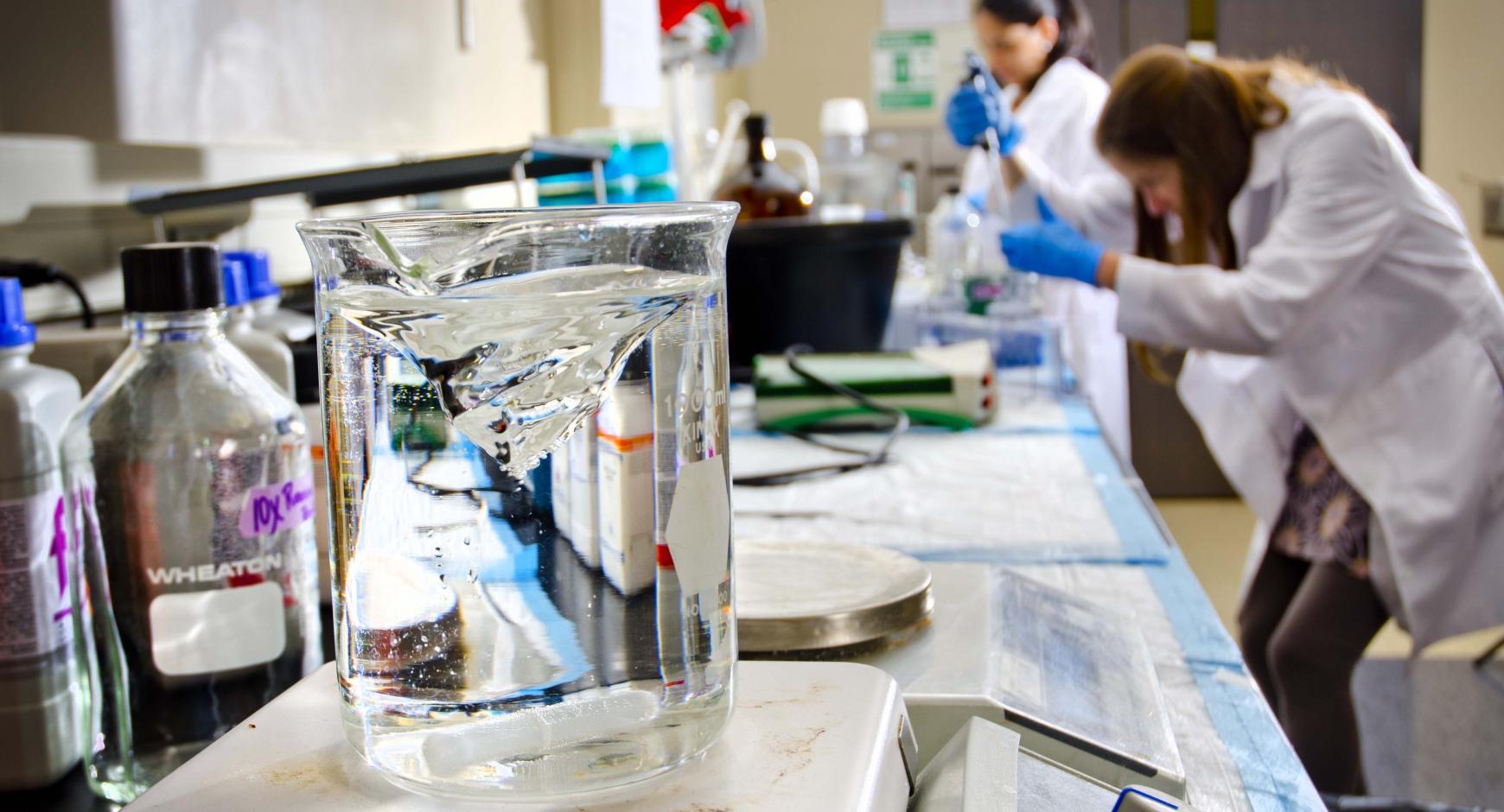 Students in Linda deGraffenried's lab at the Dell Pediatric Research Institute