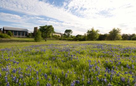 Lady Bird Johnson Wildflower Center